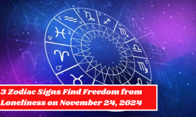 3 Zodiac Signs Find Freedom from Loneliness on November 24, 2024