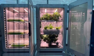 Revolutionizing Farming: Electro-Agriculture Could Replace Photosynthesis and Cut Land Use by 94%