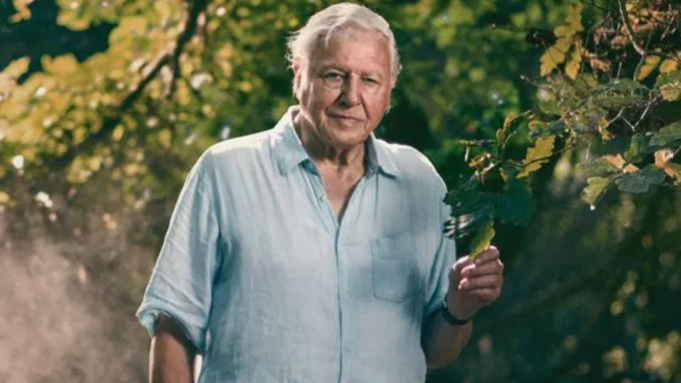 David Attenborough, AI Voice