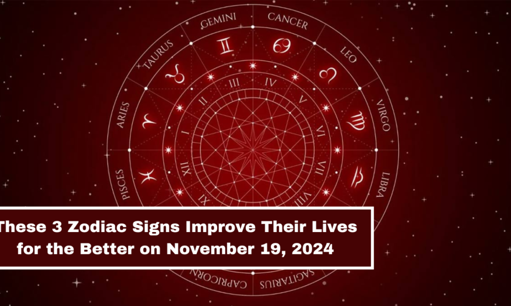 These 3 Zodiac Signs Improve Their Lives for the Better on November 19, 2024