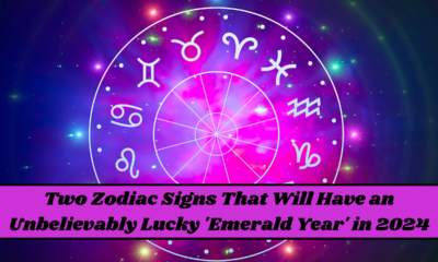 Two Zodiac Signs That Will Have an Unbelievably Lucky 'Emerald Year' in 2024