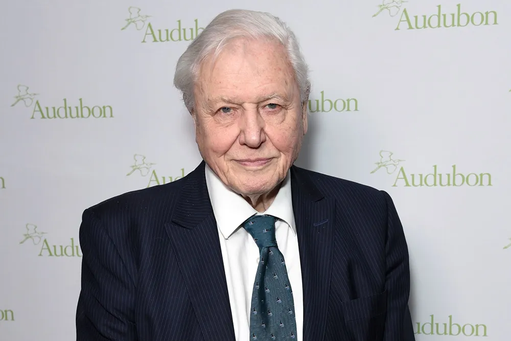 David Attenborough, AI Voice 