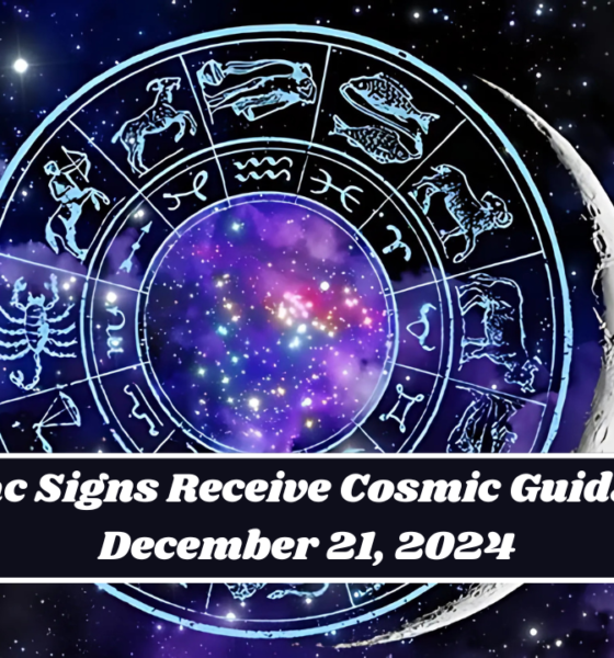 4 Zodiac Signs Receive Cosmic Guidance on December 21, 2024