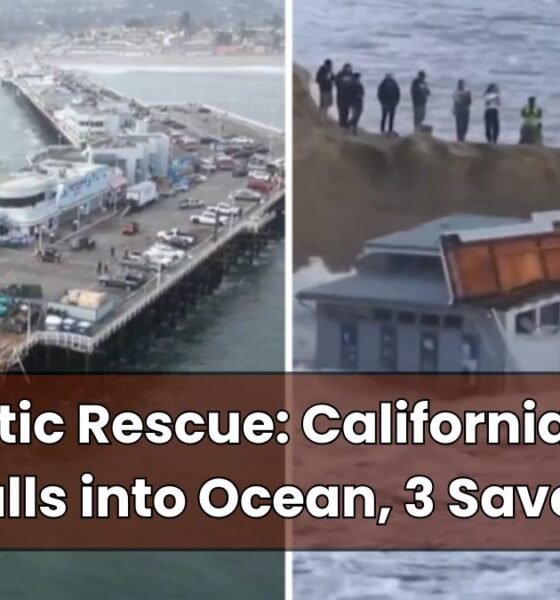 Dramatic Rescue California Wharf Falls into Ocean, 3 Saved (1)