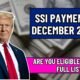 SSI Payment 31 December 2024